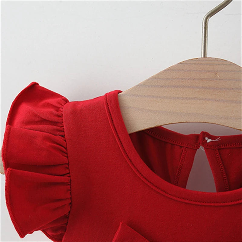 Baby Girl Red Heart Embroidered Mesh Bow Tutu Dress, Birthday Party Clothes